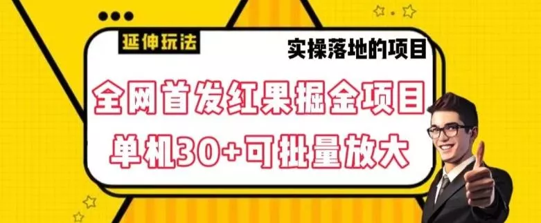 全网首发红果免费短剧掘金项目,单机30+可批量放大【揭秘】