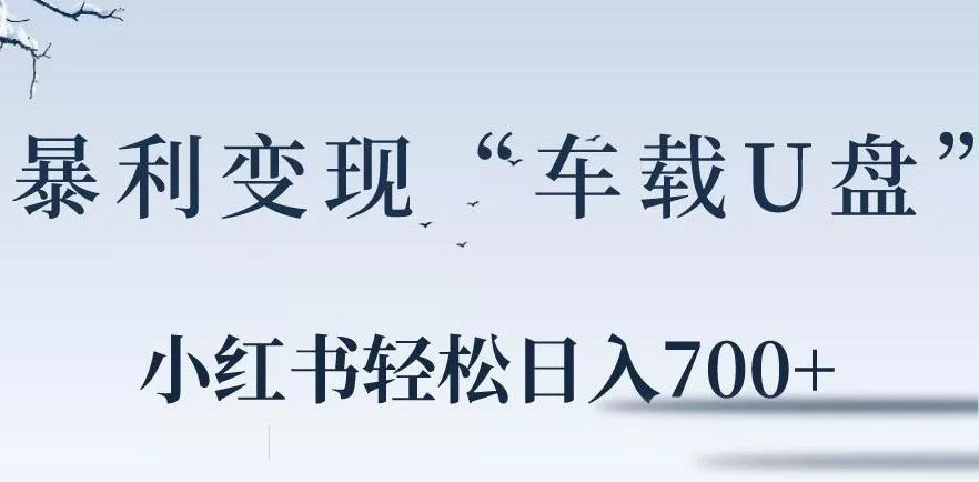小红书“车载U盘”暴利引流,日入700+