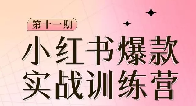 小红书博主爆款训练营第11期,手把手教你从0-1做小红书,从定位到起号到变现