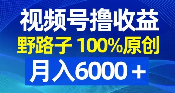 视频号野路子撸收益,100%原创,条条爆款,月入6000+【揭秘】