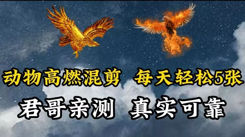 动物超燃混剪,每天轻松5张,剪辑简单大家爱看【揭秘】