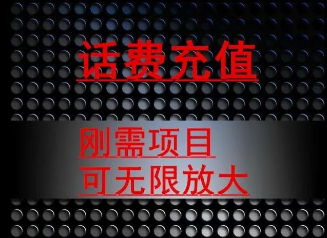 最新蓝海项目,刚需赛道,95折充话费月入5位数