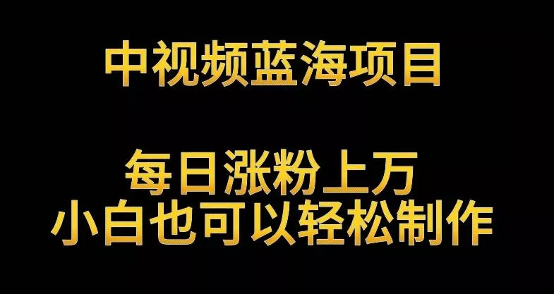 中视频蓝海项目,解读英雄人物生平,每日涨粉上万,小白也可以轻松制作,月入过万不是梦【揭秘】