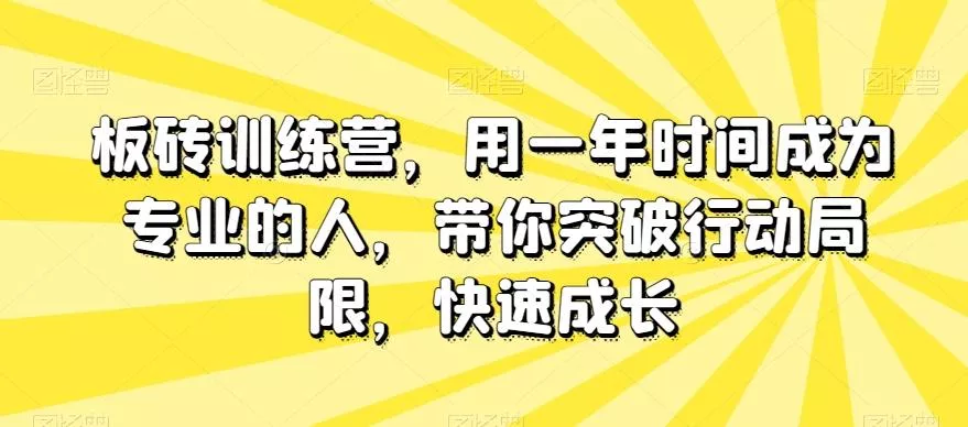 板砖训练营,用一年时间成为专业的人,带你突破行动局限,快速成长