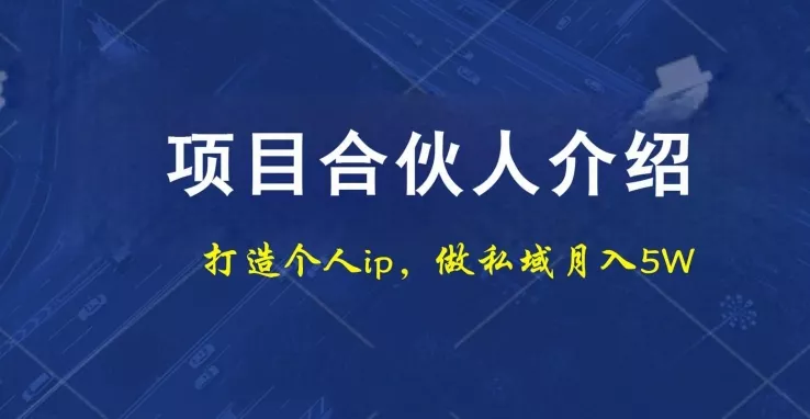 项目合伙人项目,打造个人IP,做私域月入5W,小白勿扰