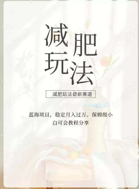减肥流量主新玩法,轻松月入1W,可矩阵操作收入翻倍