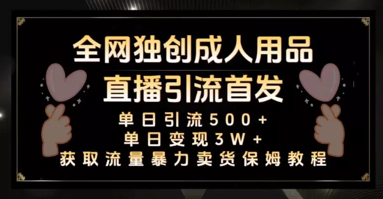 全网独创真人主播+无人直播单日引流500+,橙人用品暴力卖货单日变现3W+保姆似教学2.0【揭秘】