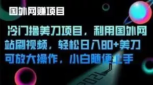 冷门撸美刀项目,利用国外网站刷视频,轻松日入80+美刀,可放大操作,小白随便上手