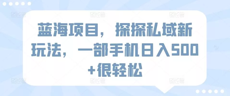 蓝海项目,探探私域新玩法,一部手机日入500+很轻松【揭秘】