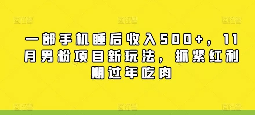 一部手机睡后收入500+,11月男粉项目新玩法,抓紧红利期过年吃肉