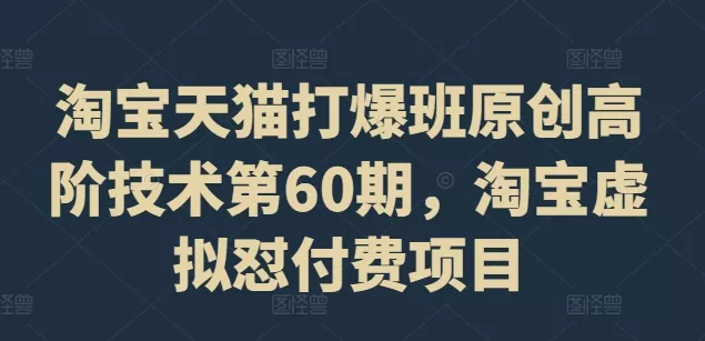 淘宝天猫打爆班原创高阶技术第60期,淘宝虚拟怼付费项目