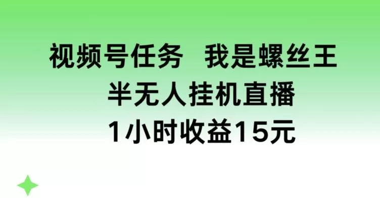 视频号任务,我是螺丝王, 半无人挂机1小时收益15元【揭秘】