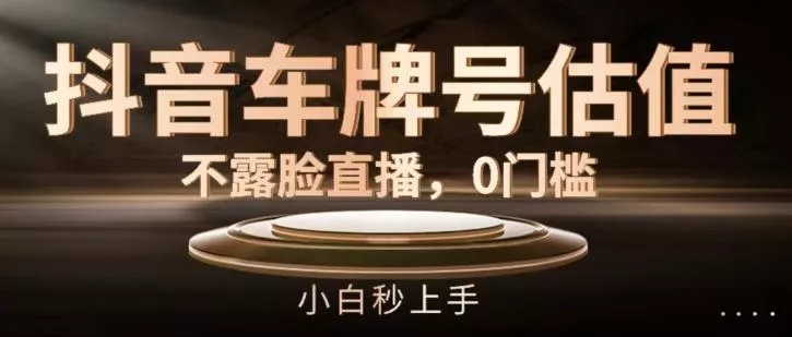 抖音车牌号估值,不露脸直播,0门槛,小白秒上手【揭秘】