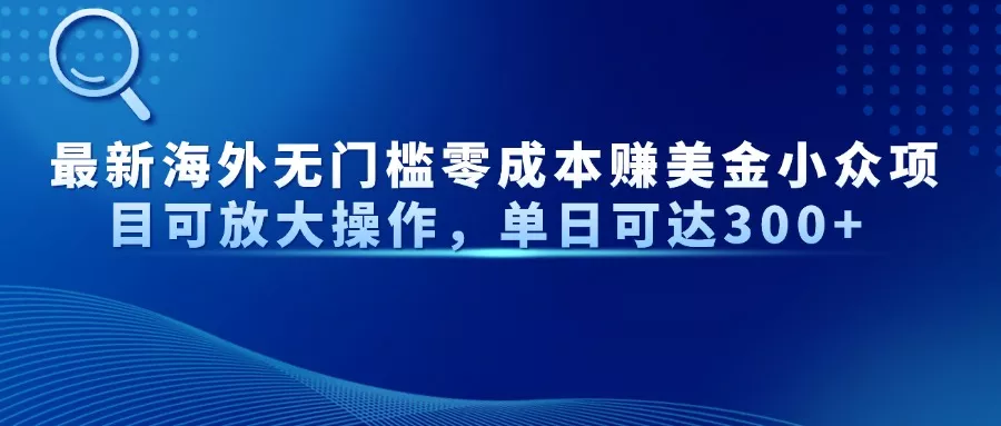 最新海外无门槛零成本赚美金小众项目可放大操作，单日可达300+