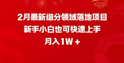 2月最新细分领域落地项目，新手小白也可快速上手，月入1W