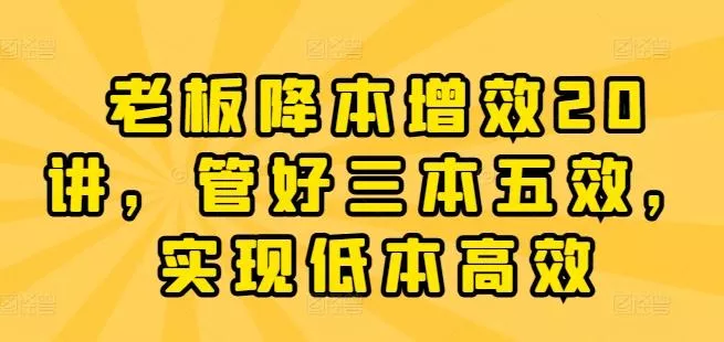 老板降本增效20讲,管好三本五效,实现低本高效