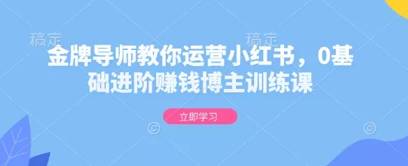 金牌导师教你运营小红书,0基础进阶赚钱博主训练课