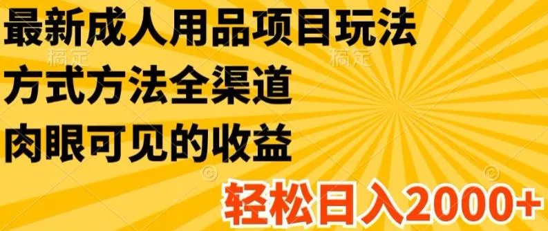 最新成人用品项目玩法,方式方法全渠道,轻松日入2K+【揭秘】
