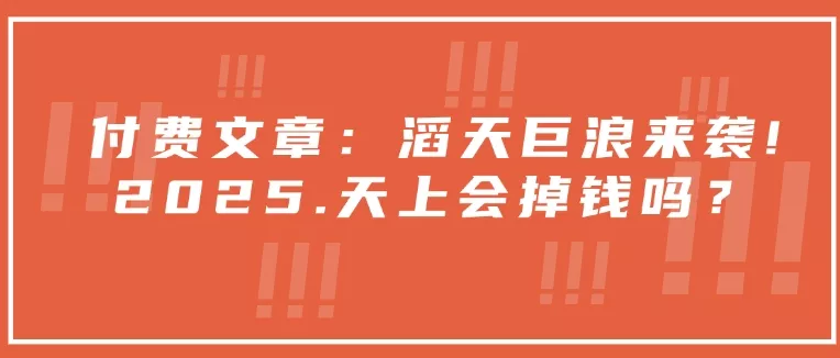 付费文章:滔天巨浪来袭!2025天上会掉钱吗?