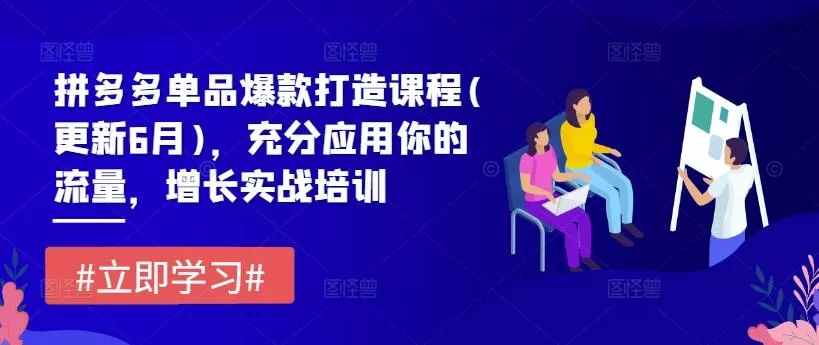 拼多多单品爆款打造课程(更新6月),充分应用你的流量,增长实战培训