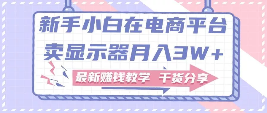 新手小白如何做到在电商平台卖显示器月入3W+，最新赚钱教学干货分享