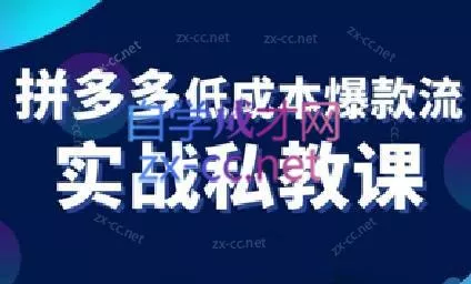 卡卡老师·拼多多低成本爆款流实战私教课