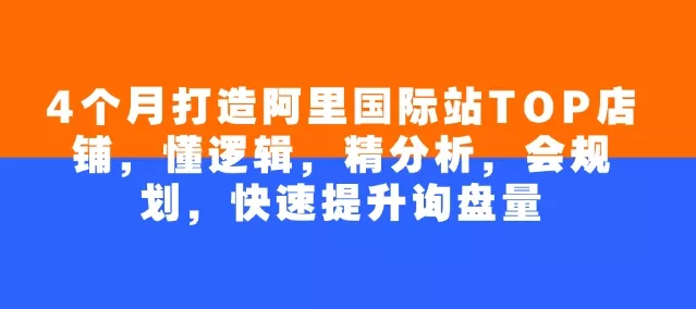 4个月打造阿里国际站TOP店铺,懂逻辑,精分析,会规划,快速提升询盘量