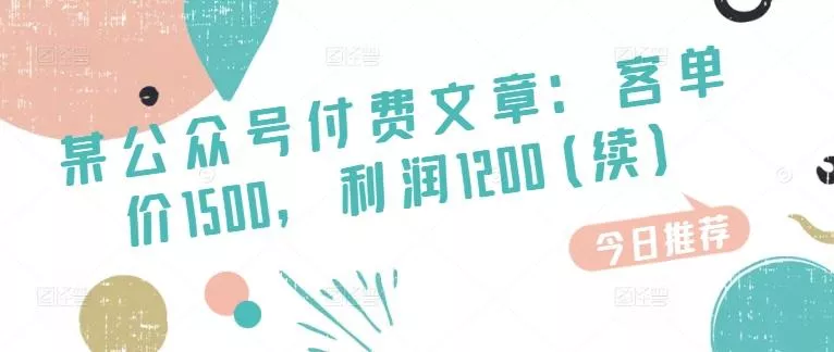 某公众号付费文章:客单价1500,利润1200(续),市场几乎可以说是空白的