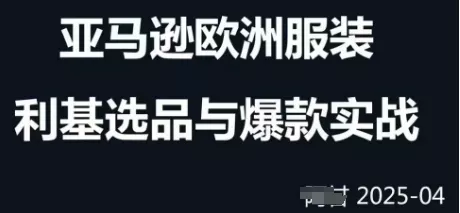 跨境电商选品案例24-25年，聚焦跨境电商选品策略与运营优化，助力卖家挖掘蓝海市场