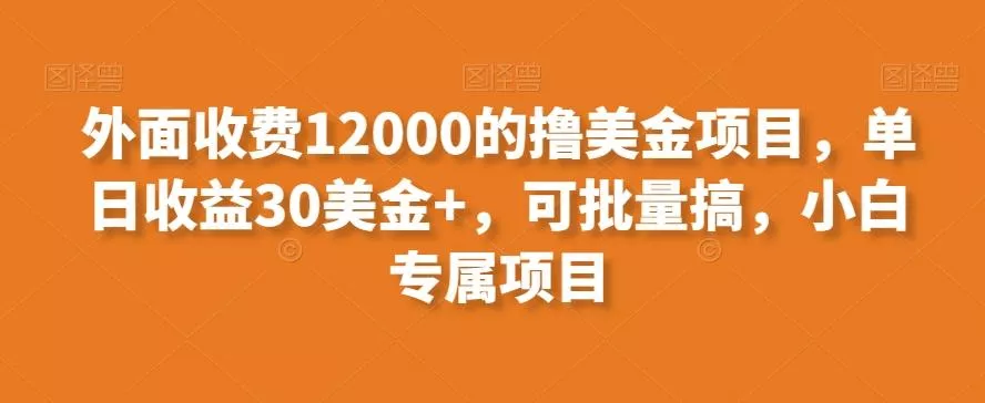 (8629期)一键生成英文名变现,冷门暴利无门槛,轻松日赚500+