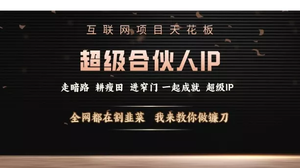 互联网项目天花板,超级合伙人IP,全网都在割韭菜,我来教你做镰刀【仅揭秘】
